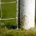 Skubala Leaves For Lincoln 
